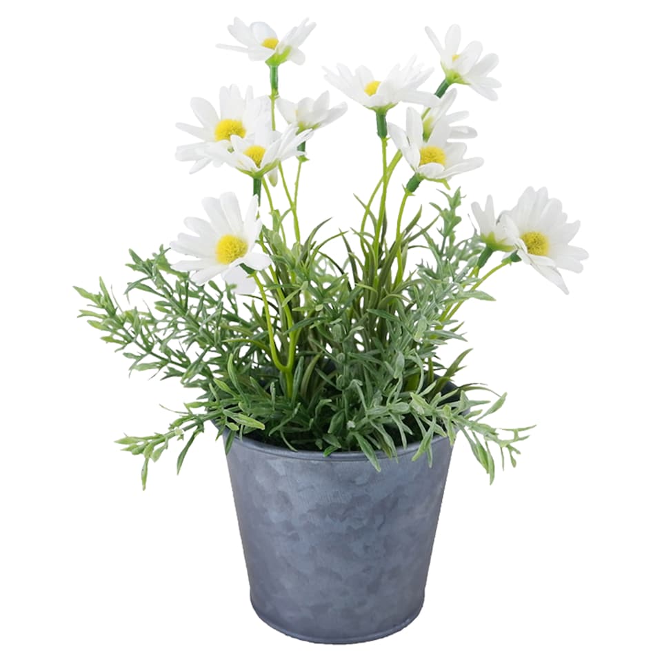 Bayswood Artificial Daisy Pot