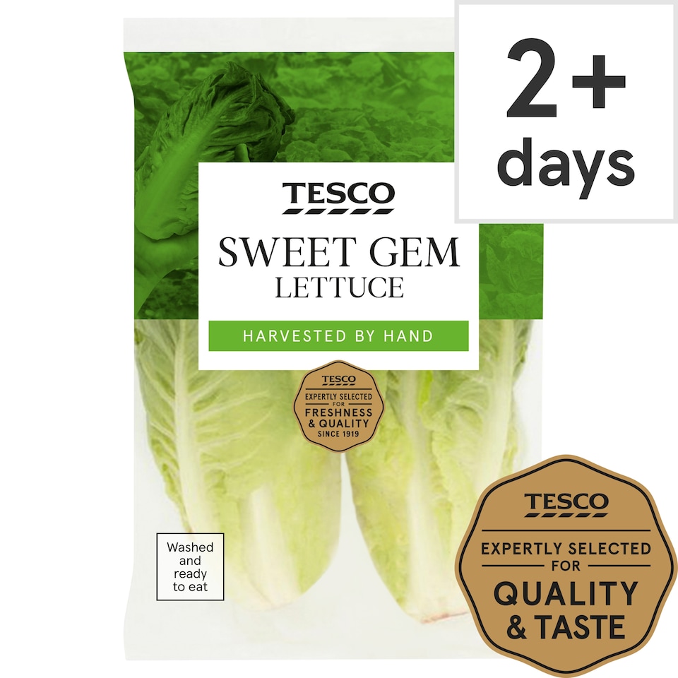 Tesco Sweet Gem Lettuce