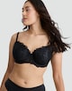 image 1 of F&F Fuller Bust Embroidered Wired Plunge Bra in Black