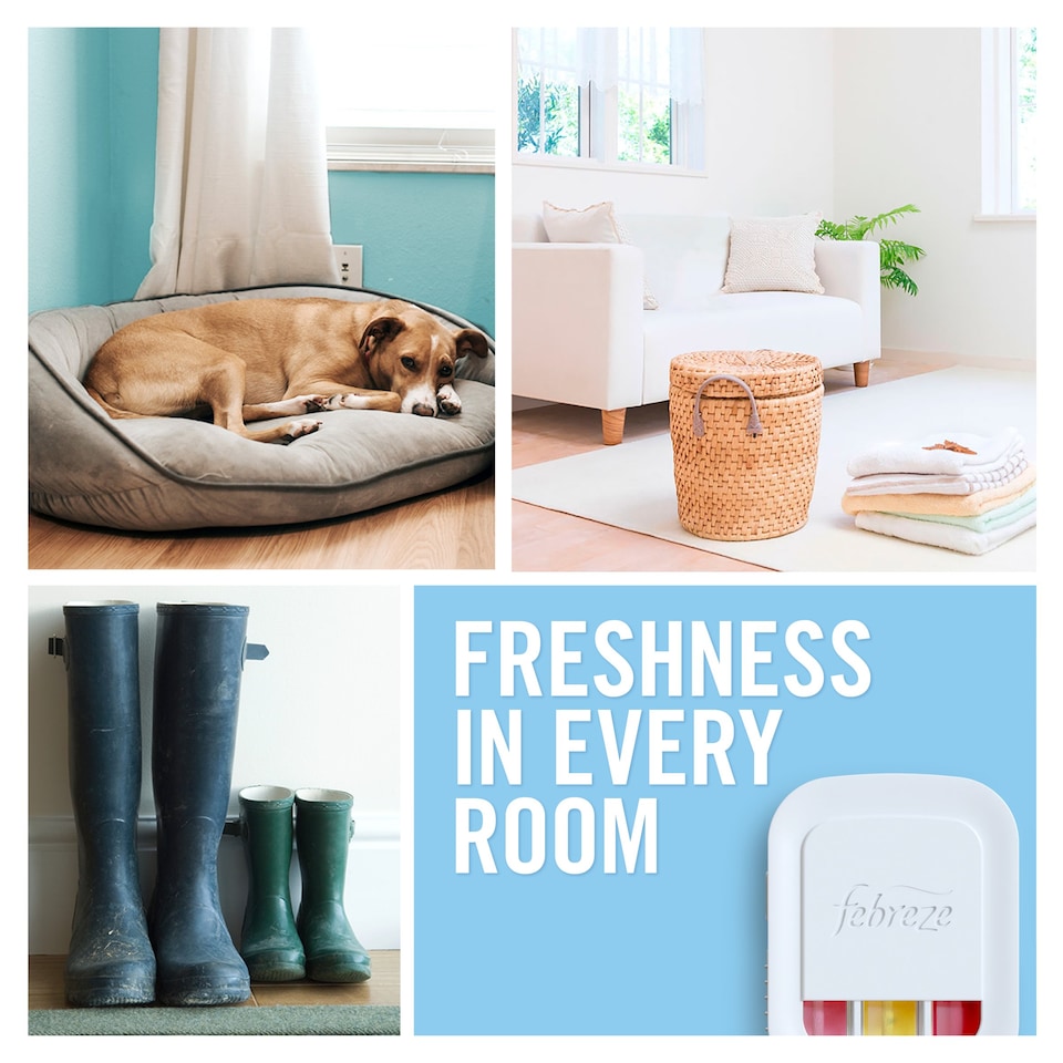 image 1 of Febreze Air Freshener 3Volution Plug In Refill Pine & Eucalyptus 20Ml