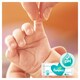 image 3 of Pampers Wipes 5 Packs 280 Wipes