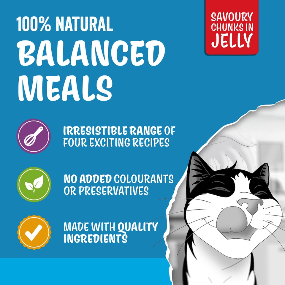 image 1 of FELIX ORIGINAL Senior Fish Selection in Jelly Wet Cat Food 12x85g