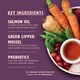 image 2 of Lily's Kitchen Senior Recipe with Turkey, Cranberries & Parsnips for Dogs 150g