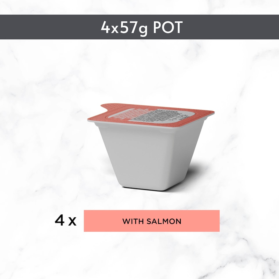 image 1 of Gourmet Revelations Gelée Salmon in Jelly Wet Cat Food 4x57g
