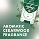 image 3 of Mitchum Men Bamboo Powder Deodorant Cedarwood 40G
