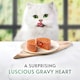 image 2 of Gourmet Natures Creations Cat Food Chicken Mousse 85g
