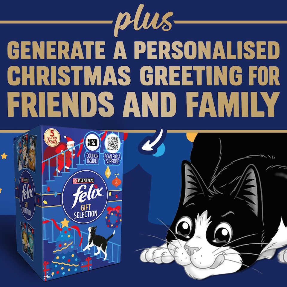 image 1 of Felix Cat Treats Christmas Selection Box 275g