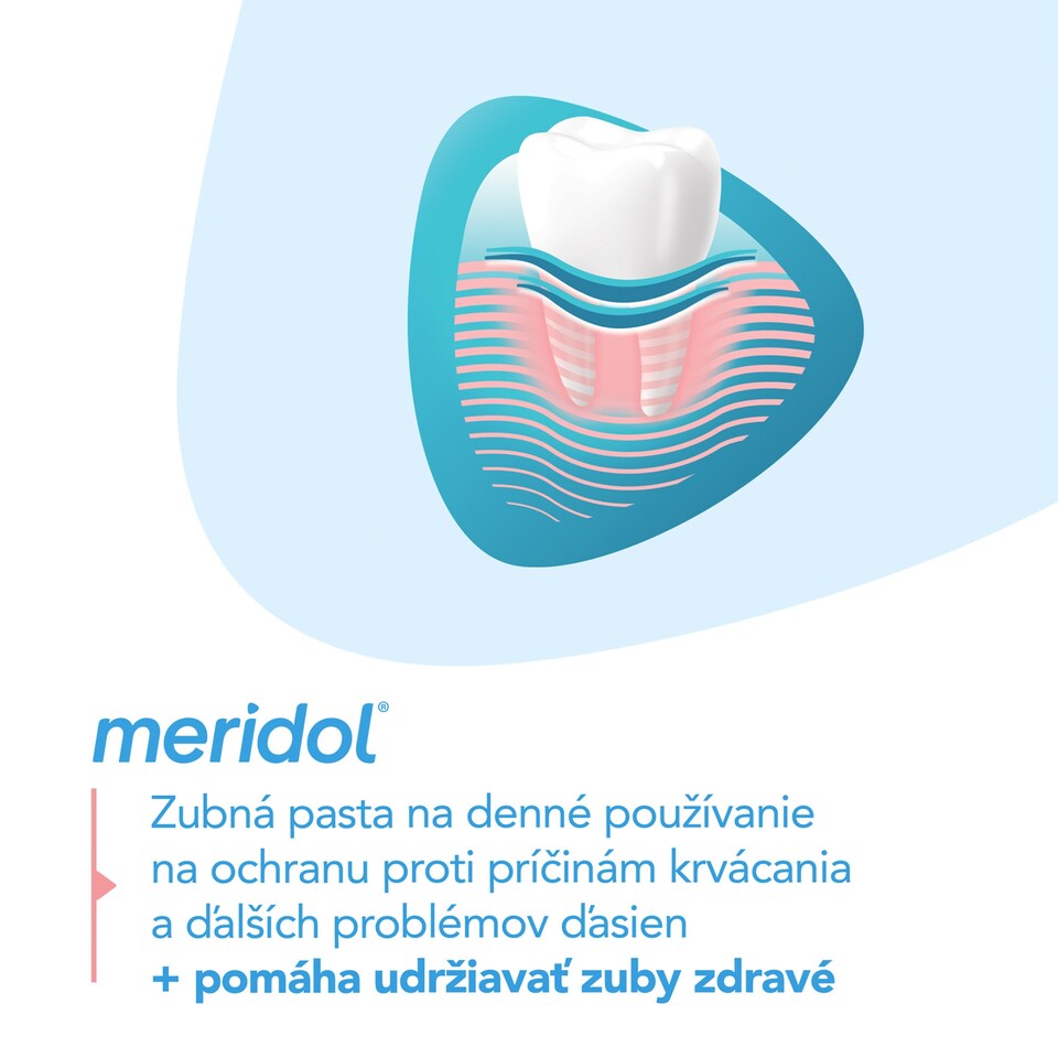 image 1 of meridol®Gum Protection zubná pasta na ochranu ďasien 75 ml