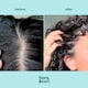 image 2 of Flora & Curl Coconut Mint Scalp Refresh Shampoo 300ml