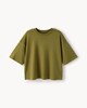 image 4 of F&F Cotton Rich Cropped T-Shirt in Olive