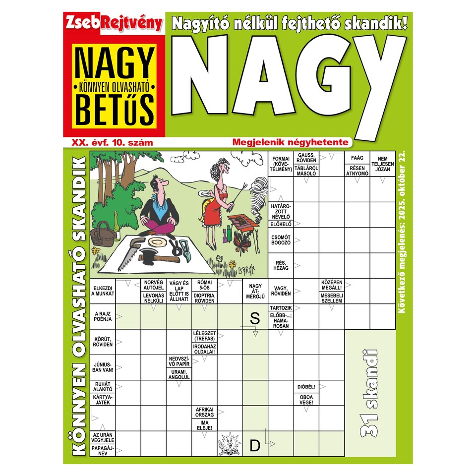 Zsebrejtvény Nagy