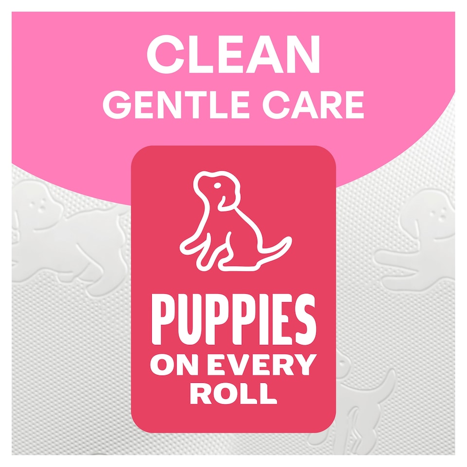 image 1 of Andrex 16 Rolls Toilet Tissue Gentle Clean