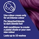 image 4 of Schwarzkopf Live Ultra Brights 094 Purple Punk Hair Dye