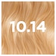 image 2 of Garnier Good Permanent Hair Colour - 10.14 Chamomile Blonde