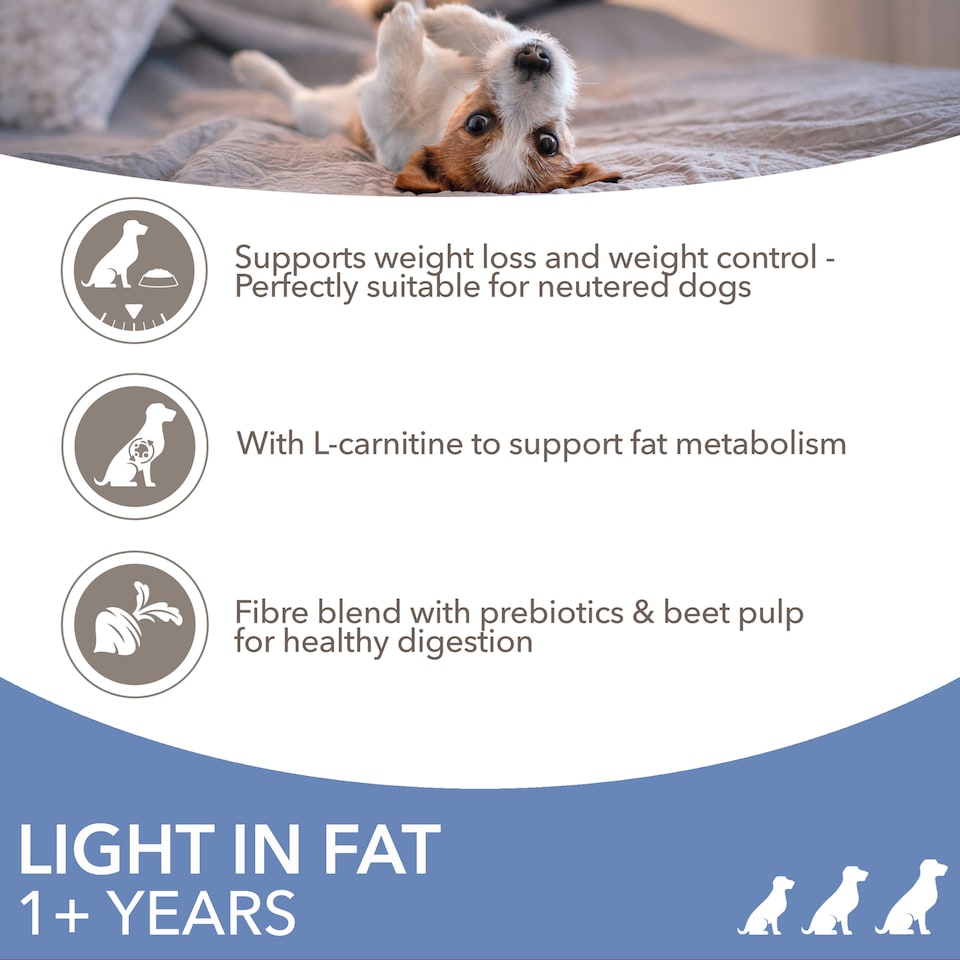 image 1 of Iams Dog Food Adult Light In Fat With Chicken 2Kg