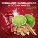 image 4 of Old Spice The Captain Gift Set