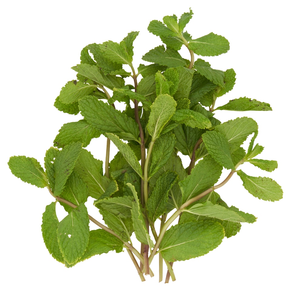 image 1 of Tesco Mint 30G