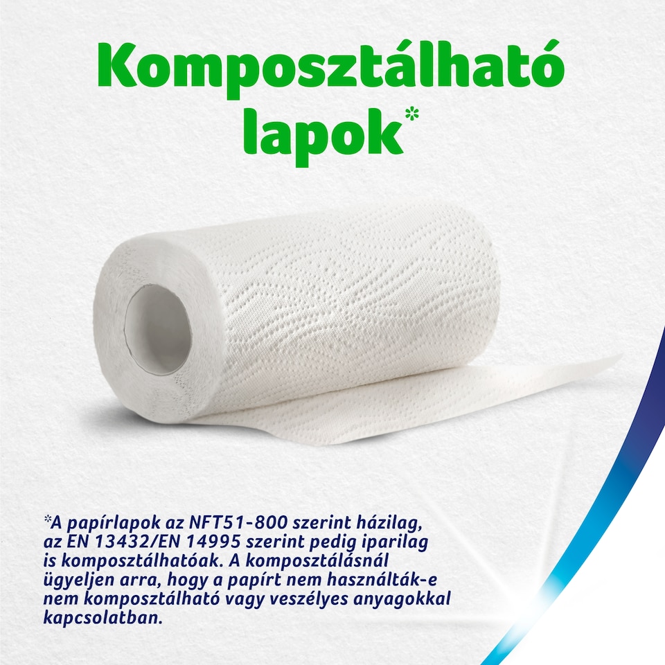 image 1 of Zewa Wisch & Weg eXtra Lang Household Towels 2 Ply 2 Rolls