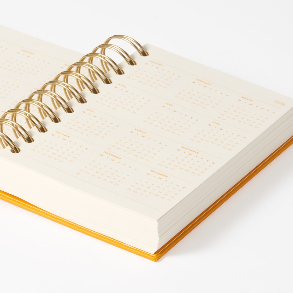 image 1 of Paperchase Icons A6 2025 DTV Diary - Sunshine