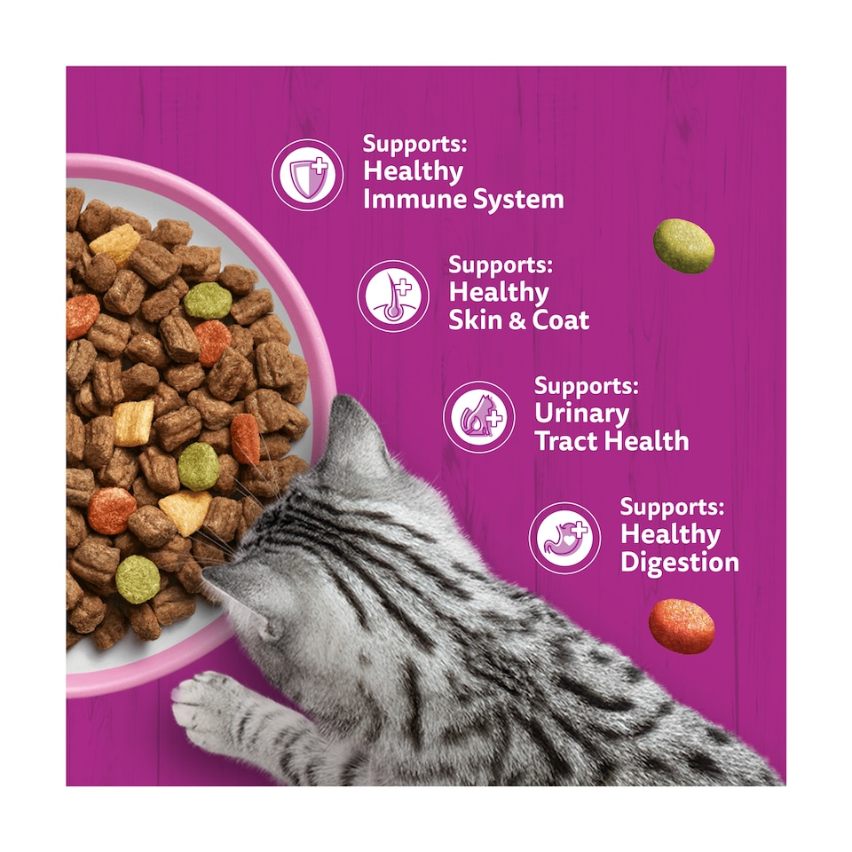 image 1 of Whiskas Adult 1+ Dry Cat Food Biscuits Salmon 1.9Kg