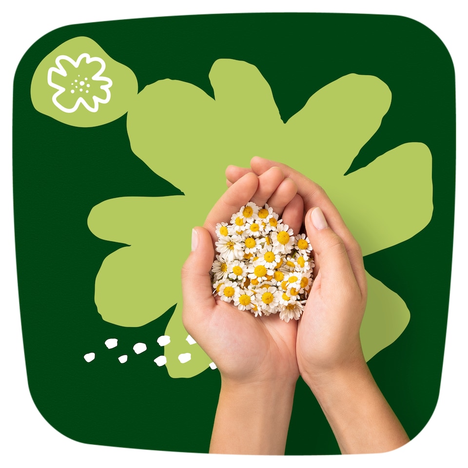 Obrázek 1 pro produkt Naturella Ultra, Velikost 4 Night, Vložky S Křidélky, 14