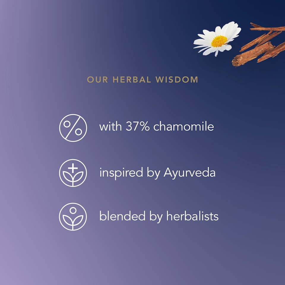 image 1 of Pukka Organic Night Time Apple 20 Tea Bags 36g