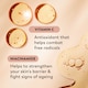 image 3 of Olay Total Effects Bb Cream Fair Moisturiser 50Ml