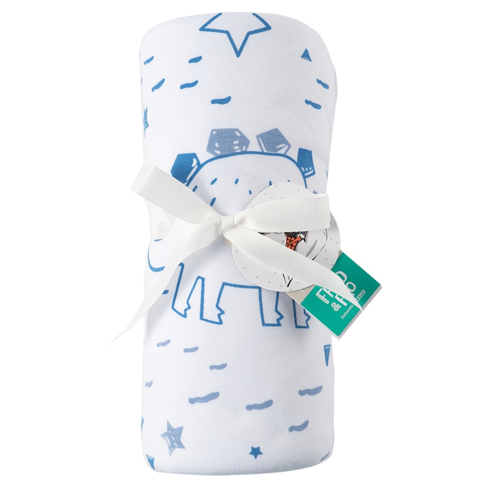 image 1 of Fred & Flo Dino Fleece Blanket
