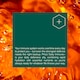 image 4 of Phizz Daily Immune+ Orange Hydration, Immunity, Electrolytes & Vitamins Effervescent Tablets x20