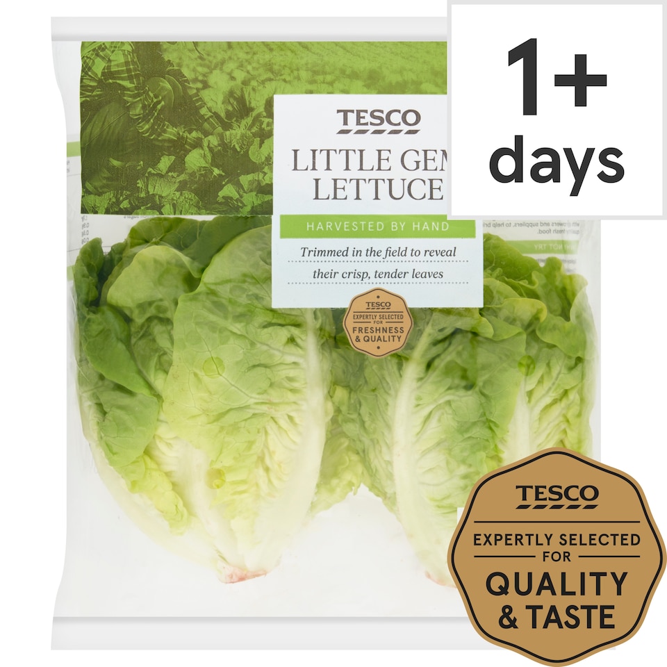 Tesco Little Gem Lettuce Twin Pack