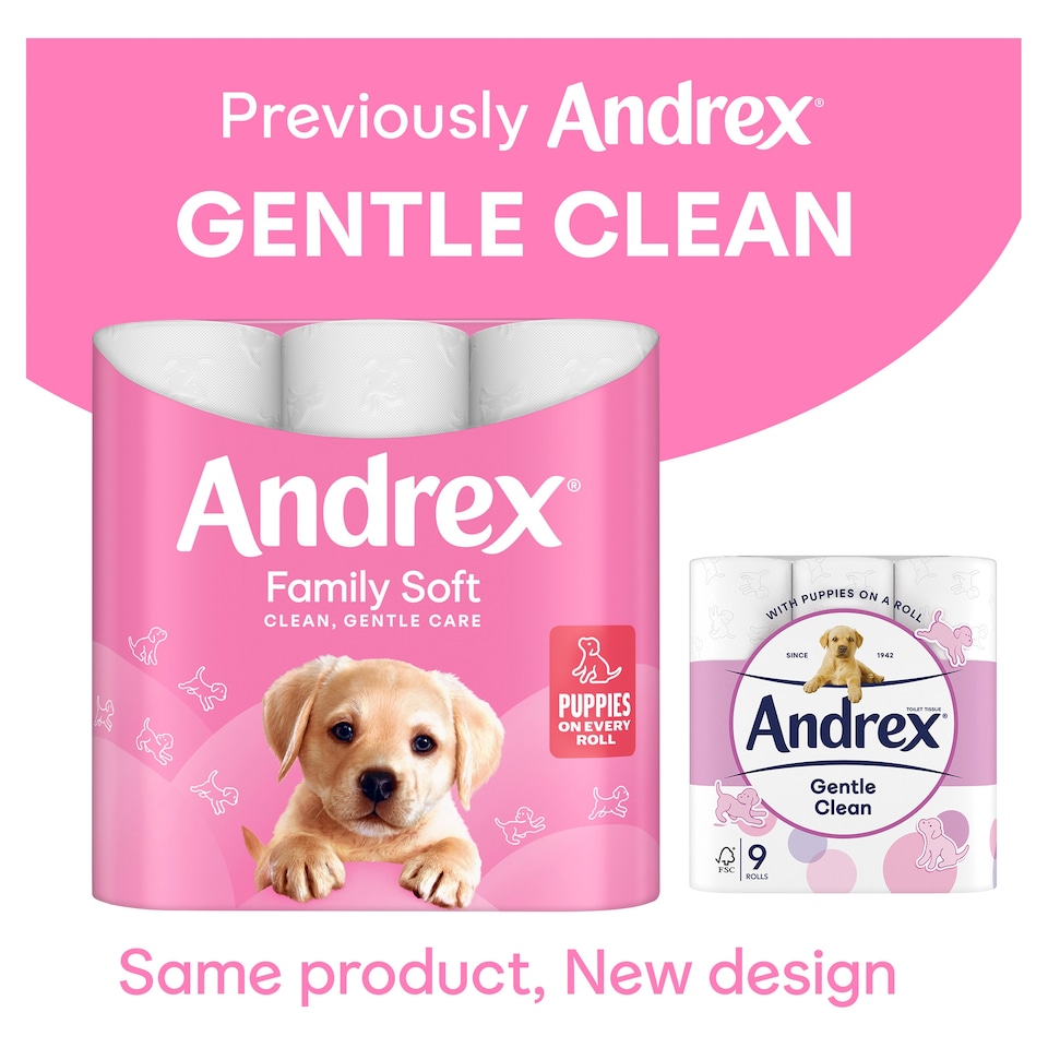 image 1 of Andrex 16 Rolls Toilet Tissue Gentle Clean