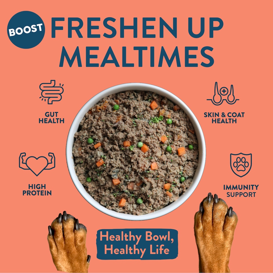 image 1 of BOOST Gently Cooked Lamb & Superfoods Meals for Dogs 400g