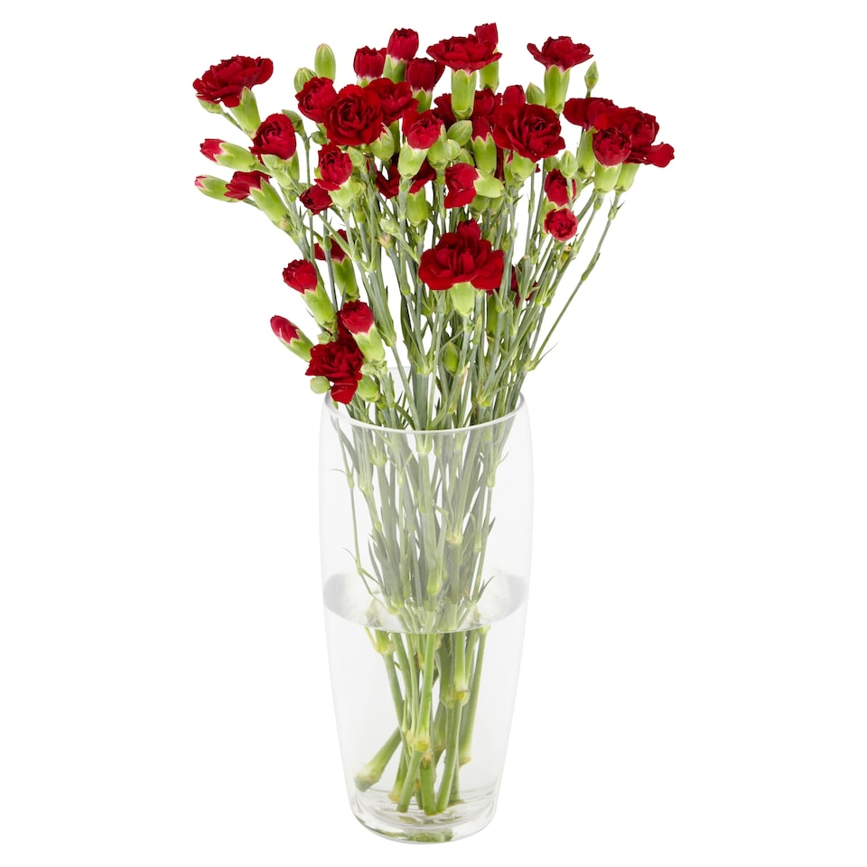 image 1 of Tesco Spray Carnations Flowers Bouquet