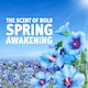 image 5 of Bold Washing Gel Spring Awakening 26 Washes 858ml