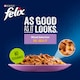 image 3 of Felix As Good As It Looks Favourites Selection in Jelly Wet Cat Food 40x85g