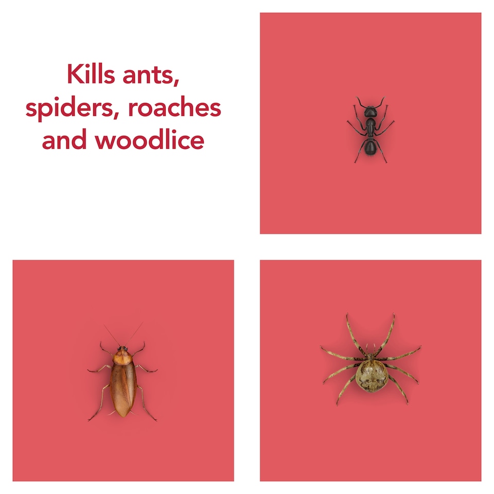 image 1 of Raid Ant & Cockroach Insect Killer Aerosol Spray 300ml