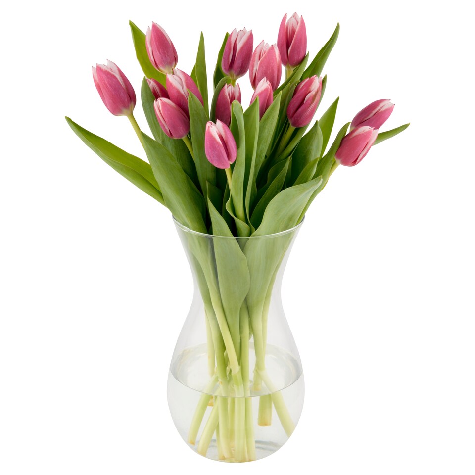 Tesco tulipáncsokor 15 db
