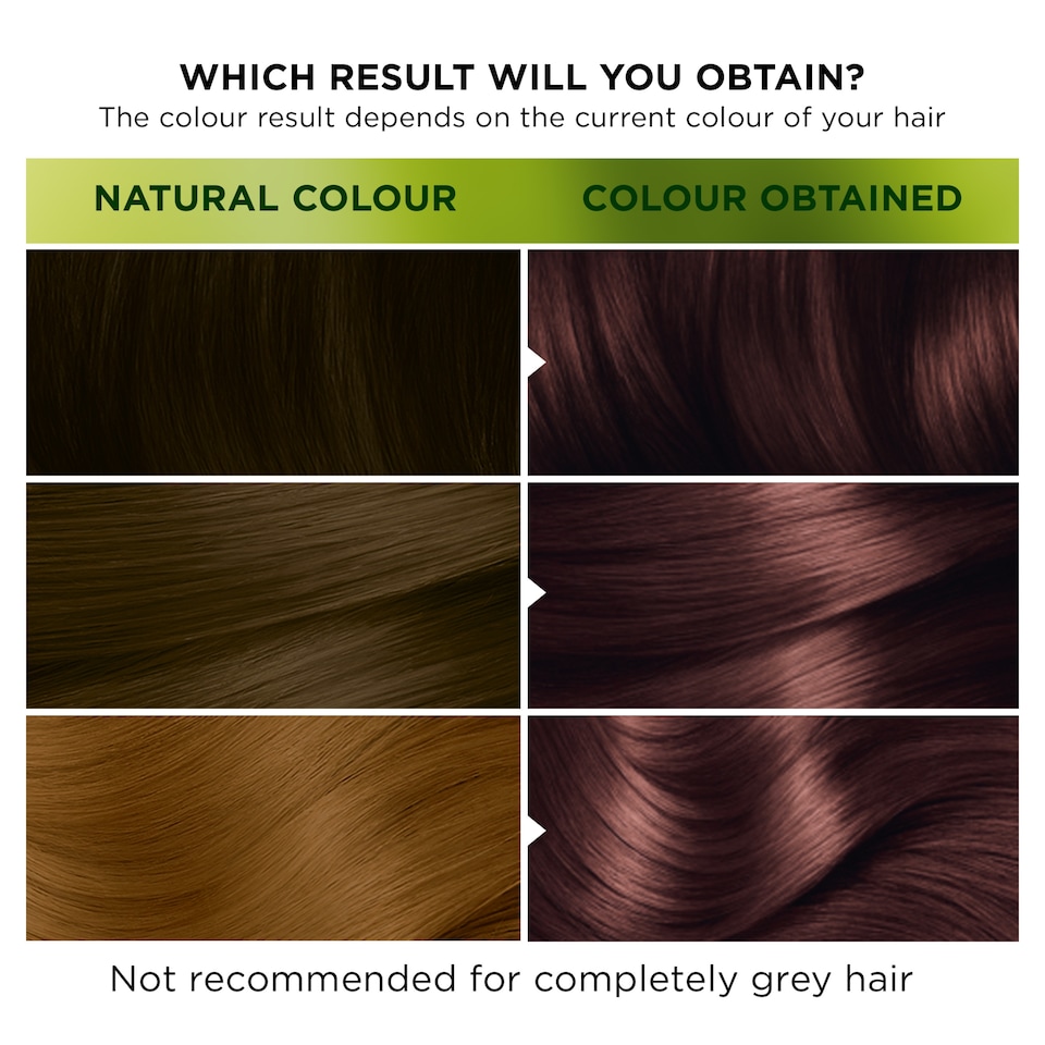 image 1 of Garnier Nutrisse 5.25 Ultra Frosted Chesnut Brown Permanent Hair Dye