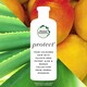 image 2 of Herbal Essences Bio Renew Aloe & Mango Shampoo 380Ml