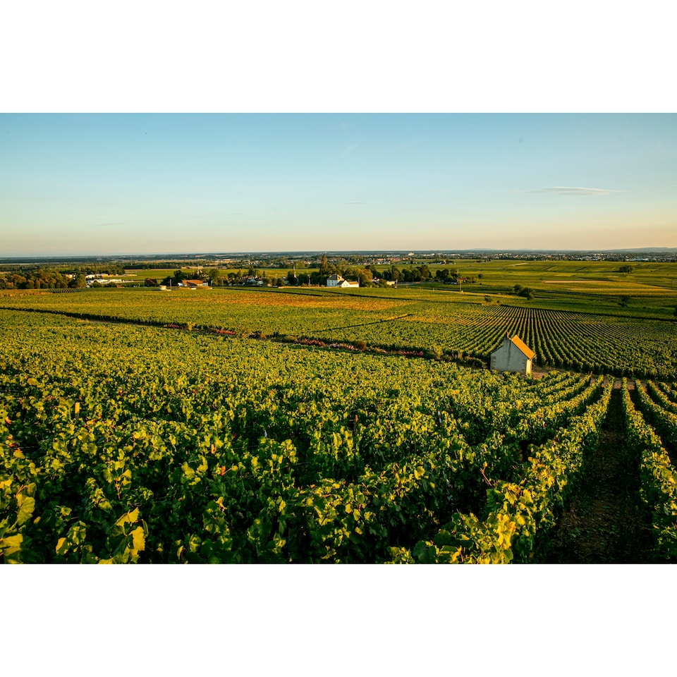 image 1 of Louis Jadot Macon - Villages 75Cl