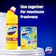 image 4 of Domestos Citrus Bleach 1.25L