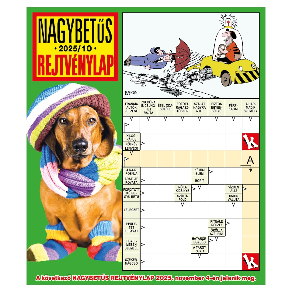 Nagybetűs Rejtvénylap