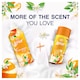 image 2 of Lenor In Wash Scent Booster Citrus and White Verbena 176g