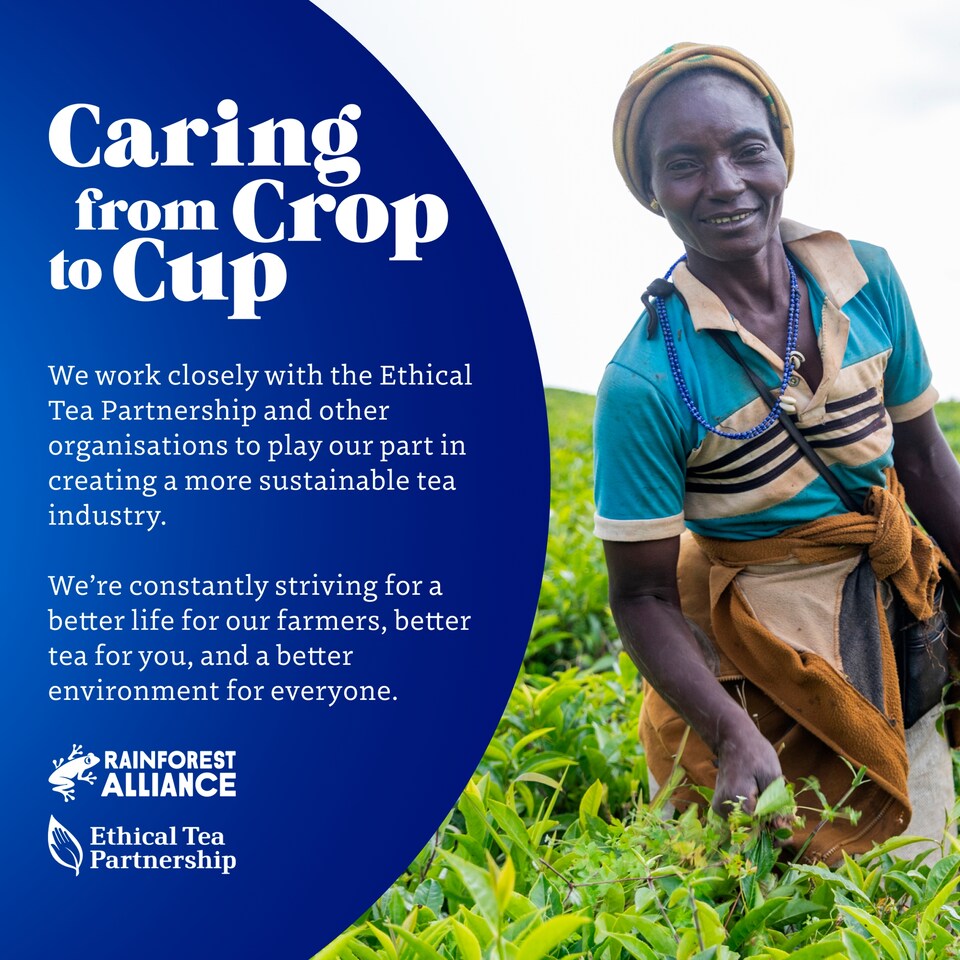 image 1 of Tetley Super Green Boost Strawberry &R/Berry 20S 40G