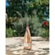 image 4 of Gerard Bertrand Cote Des Roses 75Cl