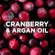 image 3 of Garnier Ultimate Blends Argan Oil & Cranberry Colour Conditioner 400ml