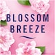 image 3 of Ambi Pur 3Volution Blossom Starter Kit 20Ml