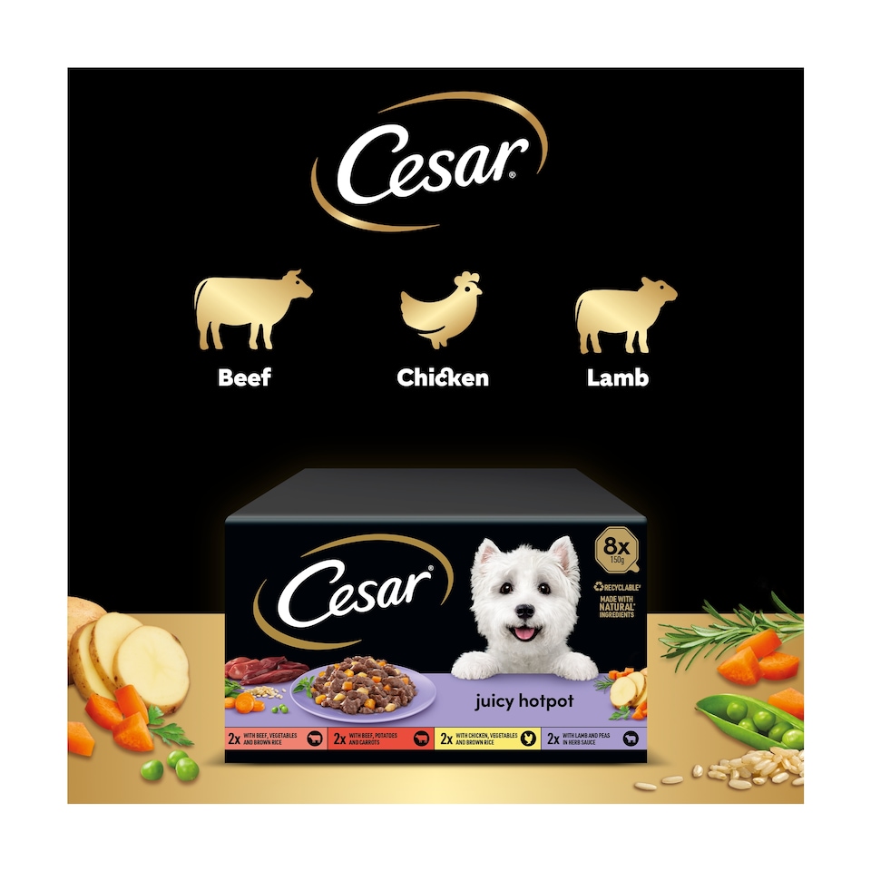 image 1 of Cesar Juicy Hotpot Wet Dog Food Tray Mixed in Gravy 8x150g