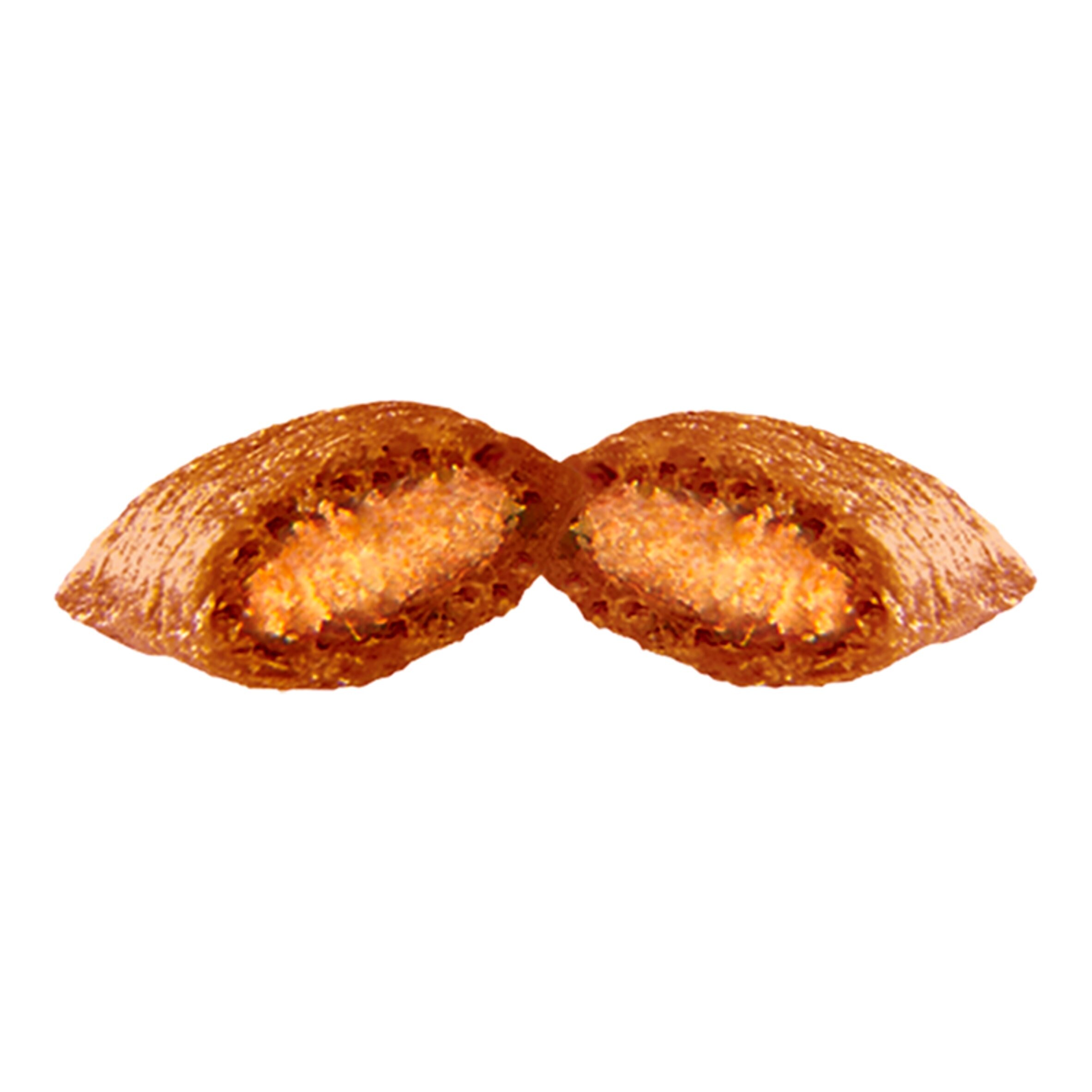 dreamies deli catz tesco