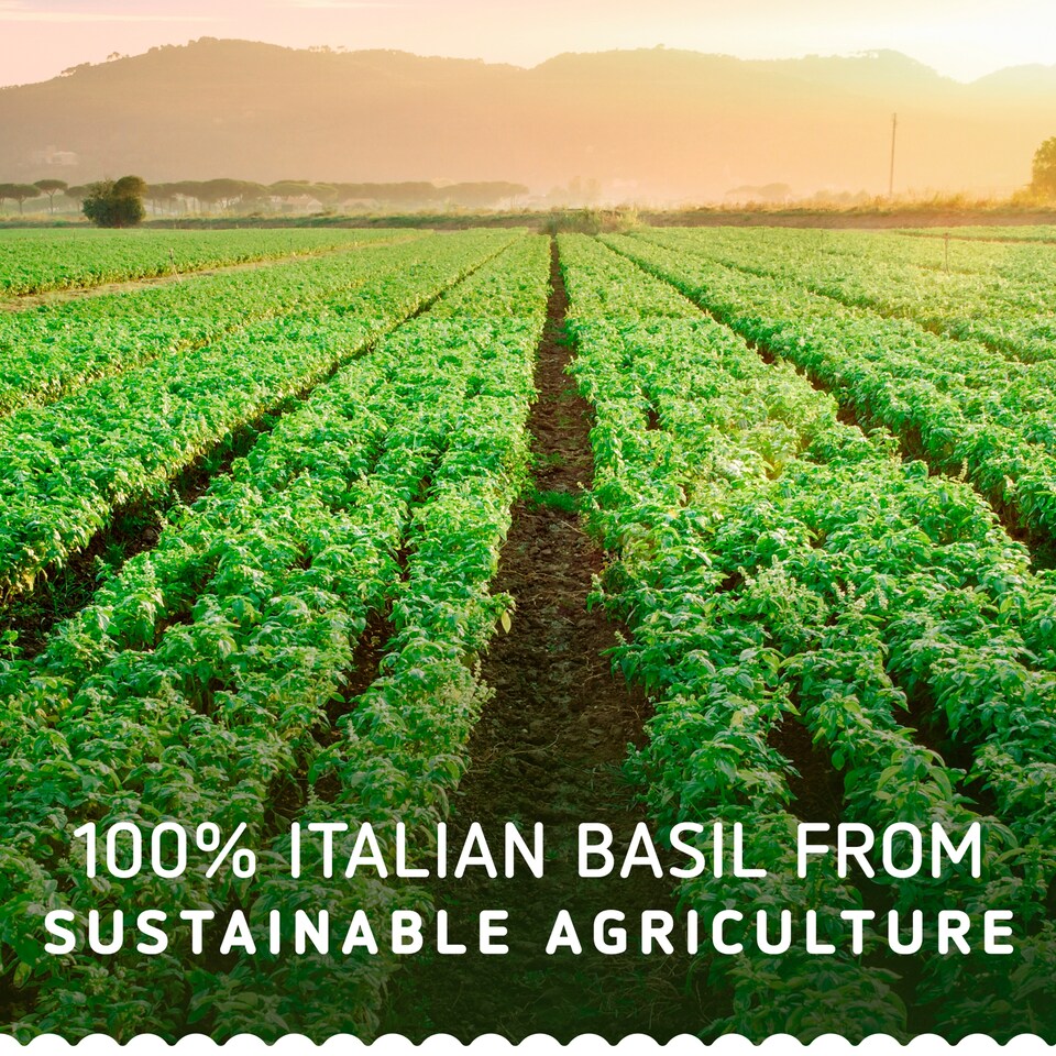 image 1 of Barilla Basilico Con Rucola 190g